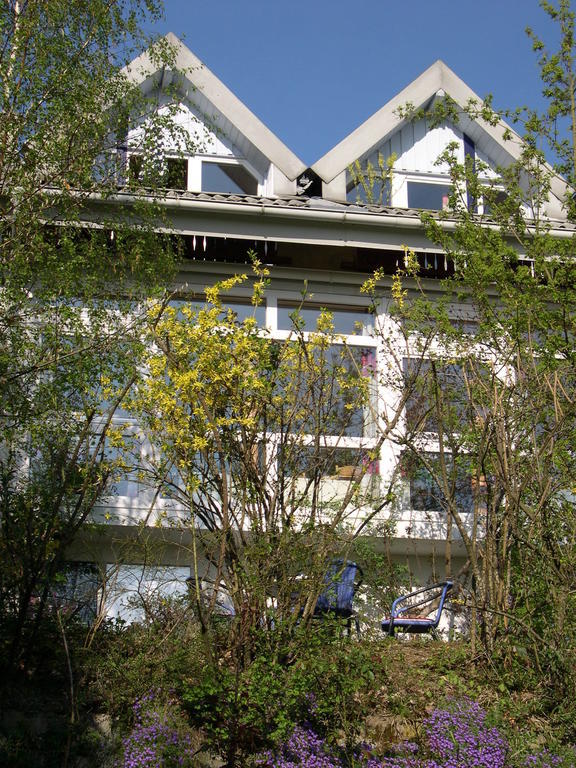 Gesundheitshotel Haus Sonnenstein Salem  Exterior photo